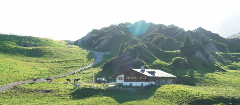 Kriegeralpe