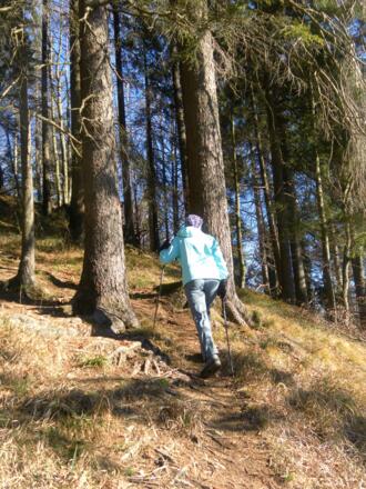 Hochwald
