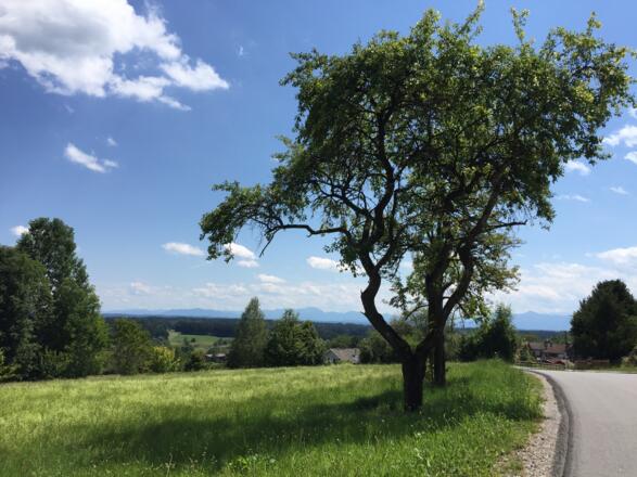 In Paterzell