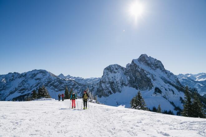 Höhenwinterwanderweg auf dem Breitenberg