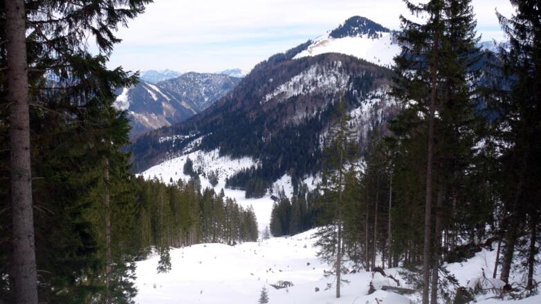 Schneise zur Kreuzau