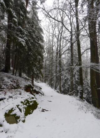 schöne Pfade durch das Murnthal