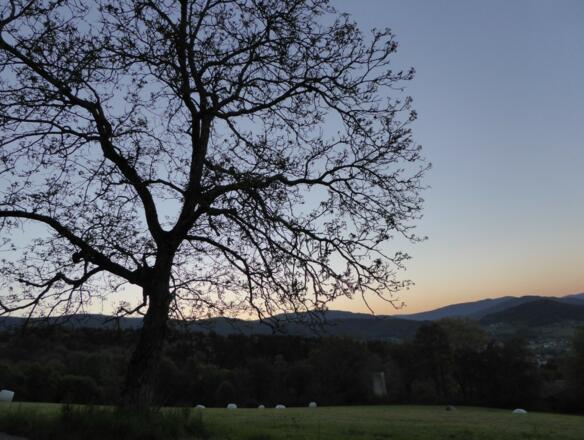 Sonnenaufgang bei Tiefendorf