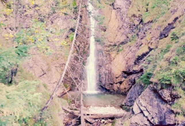 Fewo Löffler   Haus Tina