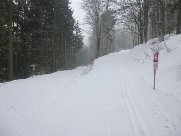 Beginn des grimmigen Anstiegs ab der Kehre