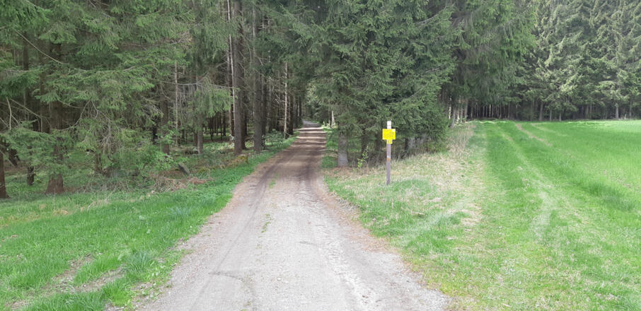 &quot;Eingang&quot; in die Birau