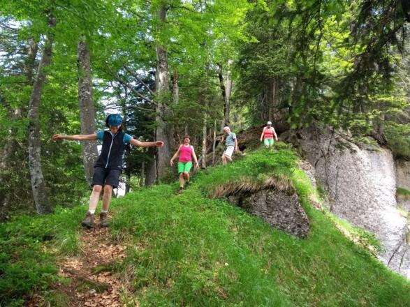 Nur fliegen ist schöner!