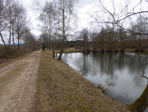 Weiher Richtung Glöcklswies