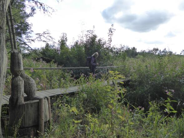 Holzsteg bei Steinach