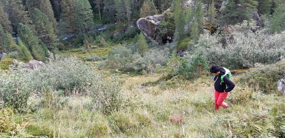 Üppige Vegetation und wohl nicht ...
