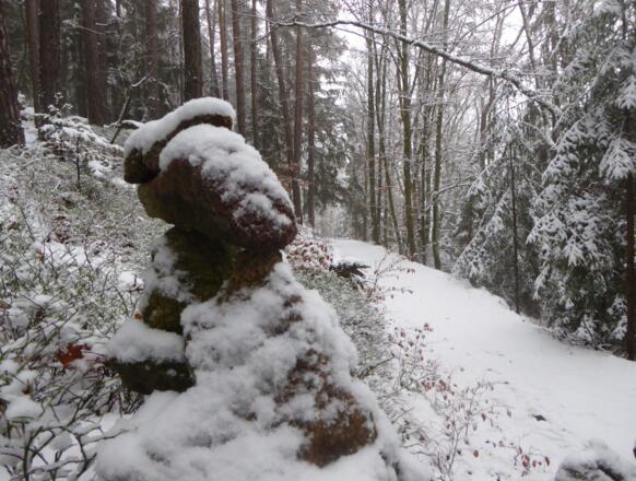 schöne Pfade durch das Murnthal