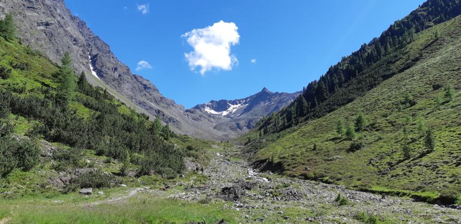 Blick zurück in den Talschluss und zum Hörndle (2986 m).