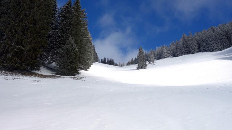 Baumlose Steilflanke, Anstiegsroute