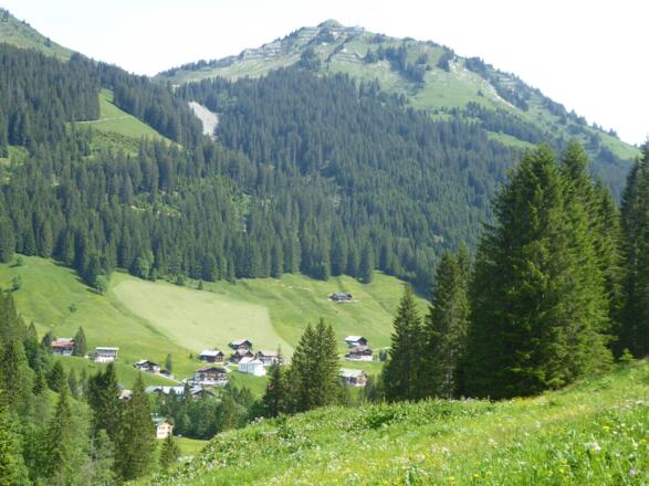 Blick auf Baad und das Walmendinger Horn