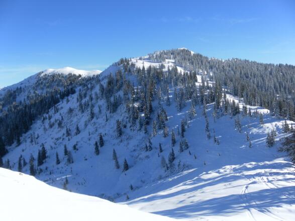 Dientner Schneeberg