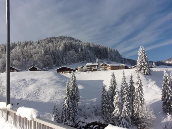 Blick in die Schwende