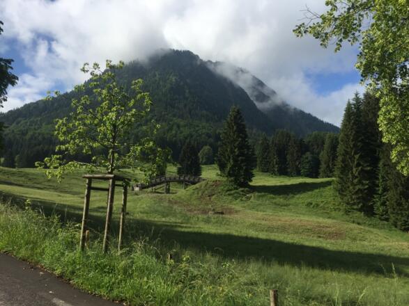 Auf einem Fahrweg geht es gemütlich zum Golfplatz mit Blick zum Himmelschrofen