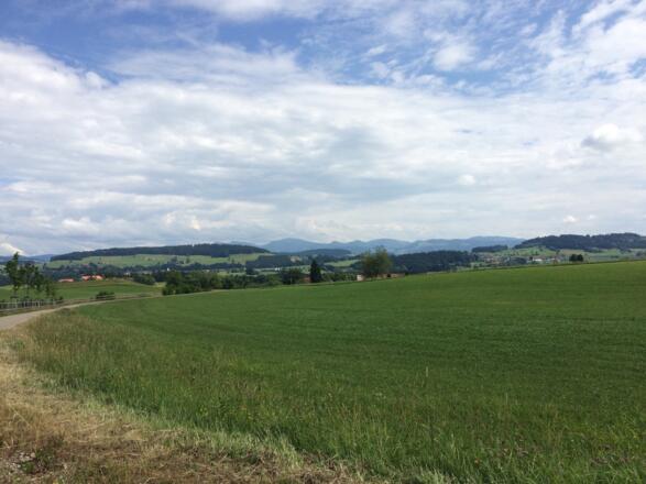 Blick von Lindenberg