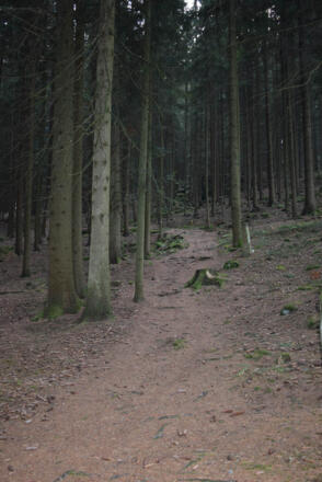 Pfad hinauf zur Schwarzen Marter