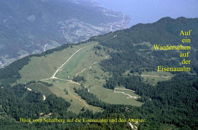 Blick auf die Eisenaualm vom Schafberg