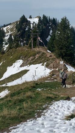 Steig zum Seelekopf und Falkenhaus