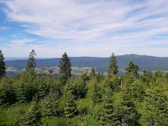 Blick in den Lamer Winkel mit Osser