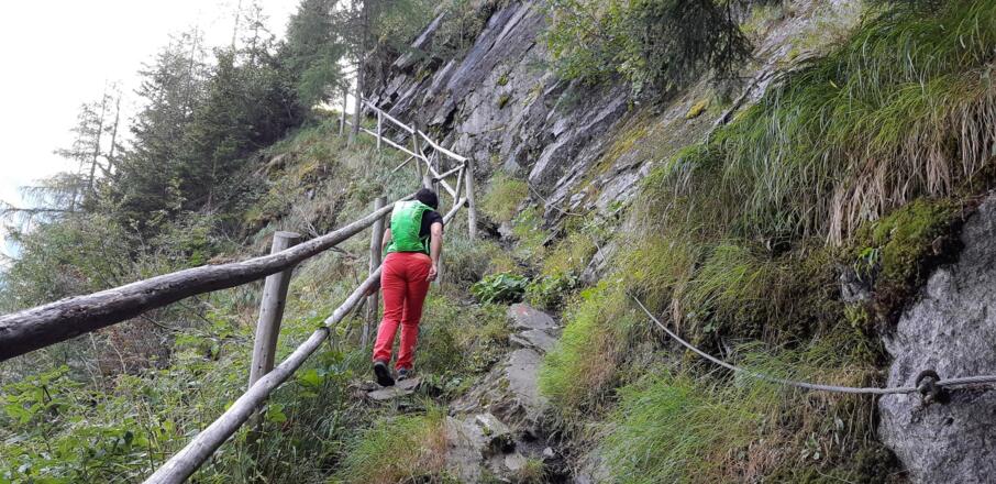 ... und teilweise gesichert durch den Hochwald.