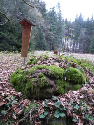 Hochweide "Am Totenschädel"
