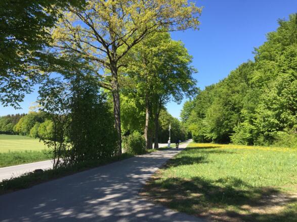 kurz entlang der Wolfratshausener Straße