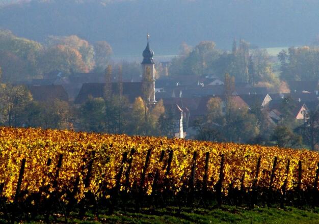 Michelau im Steigerwald