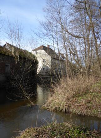 Mühle in Wiesent