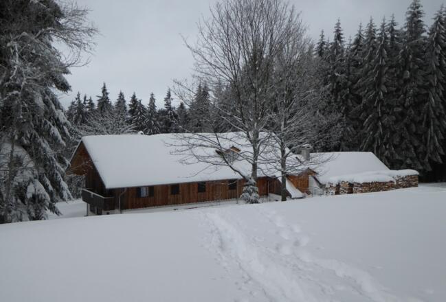 Loderhart