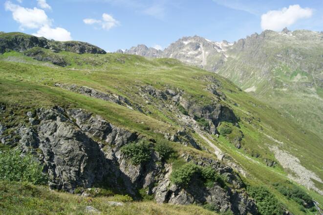 Tschiffernella