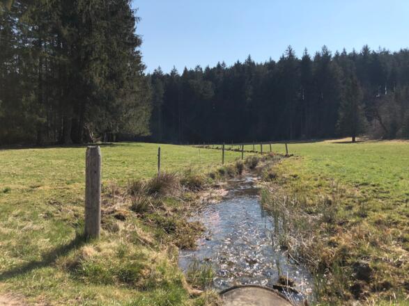 Der Hackenseebach kurz vor dem ersten Anstieg