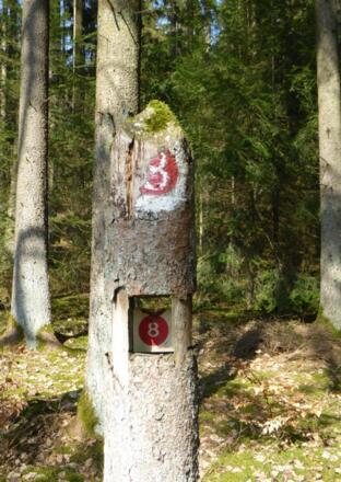 unsere heutige Markierung Rot 8