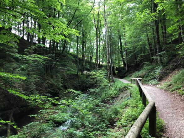 Der Mühlsteinweg kurz hinterhalb der Kunterwegkirche