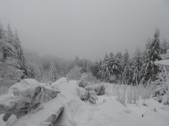 Winterlandschaft am Knogel