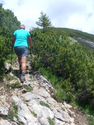 Latschengassen zum Hochmiesing
