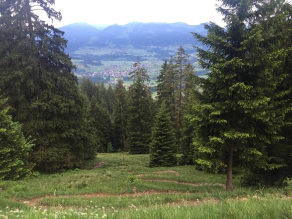 Über Almwiesen geht es kurz nach dem Tobel weiter