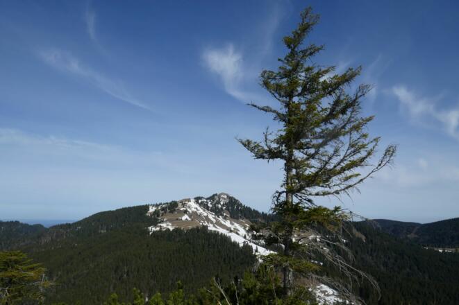 Der Blick auf den Fockenstein