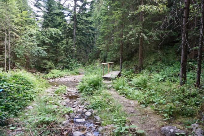 Bachdurchquerung im Tal vor Lohberghütte
