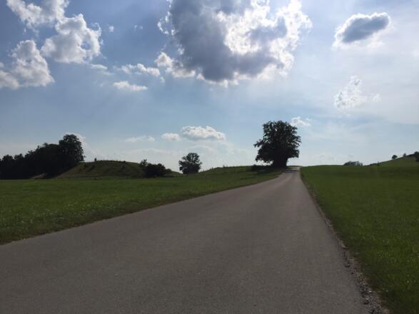 Richtung Osterhofen