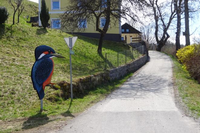 Der riesige Eisvogel zeigt den Start des Weges