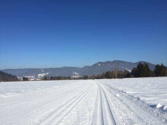 Sonnenloipe