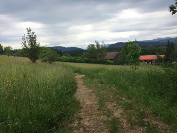 Trail von der Kugel Richtung Eistobel