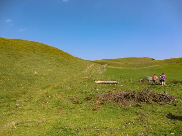 Saftige Almlandschaft an der Jägerbauernalm