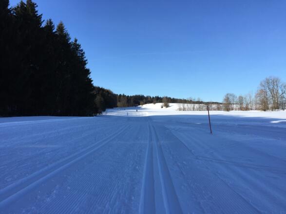 Westliche Schleife.