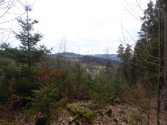 Blick auf den Gallnerberg