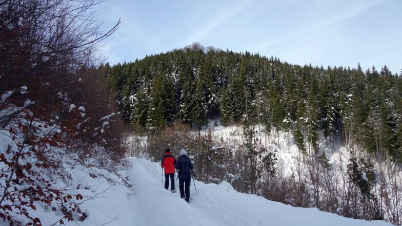 Auf der Forststraße mit Hirschwaldstein 1095m