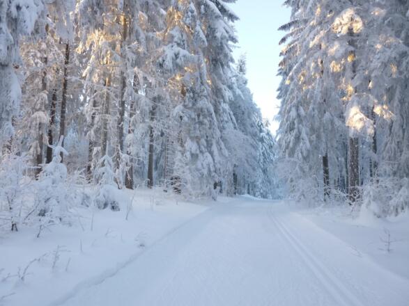 Anstieg zum Hochwald